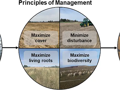 Figure 1. Functions, management, and measuring of soil health. Image courtesy of Christopher Rogers and derived from USDA-NRCS (2023).