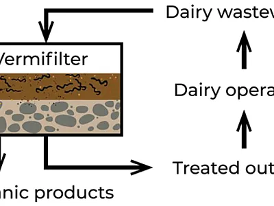 A vermifilter can use composting earthworms to treat dairy wastewater, recycle nutrients, and provide organic products such as fish bait and soil-amending casts. Graphic by Marie Johnston.