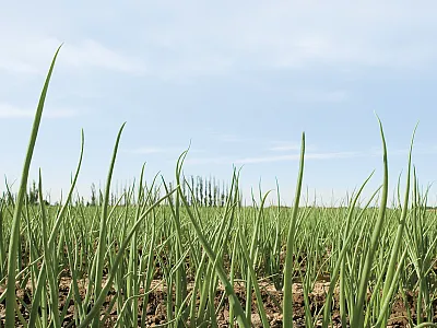 Flickr/Oregon Department of Agriculture