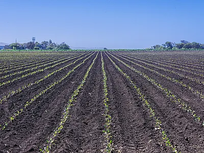 Photo courtesy of Adobe Stock/Sundry Photography.