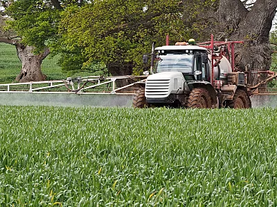 Photo courtesy of Flickr/Graham Rawlings (license CC BY-NC 2.0).