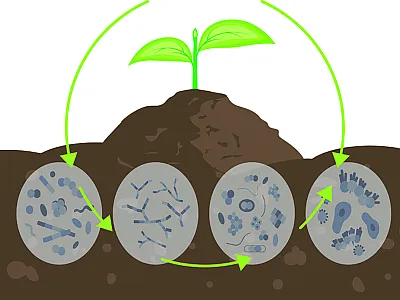 Illustration courtesy of Adobe Stock/fancytapis and Julia.