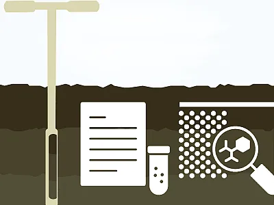 The source for this illustration is the United Soybean Board. The illustration was modified from the original according to this license: CC BY 2.0.