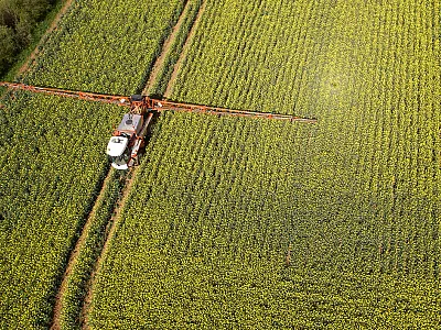Photo courtesy of Getty Images/The Creative Drone.