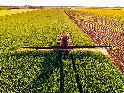 Photo courtesy of Adobe Stock/oticki.