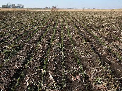 Photo courtesy of Flickr/cheeses. CC BY-NC-SA 2.0.