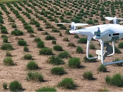 There are different approaches for imaging of plants such unmanned aerial vehicles (UAVs). Photo by Zenith Tandukar.