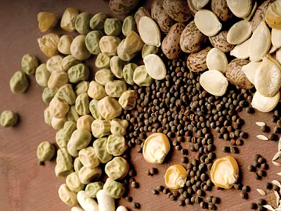 Photo by Lynn Kethchum. Courtesy of Flickr/Oregon State Universi- ty and published under this license: https://creativecommons.org/  licenses/by-sa/2.0/.