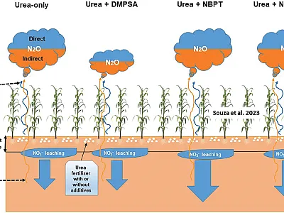 Application of N-fixing microorganisms and microbial inhibitors had unintended effects on nitrous oxide emissions.