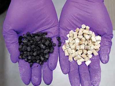 Designer biochar (left) and gypsum pretreated biomass (right). Photo by Wei Zheng.