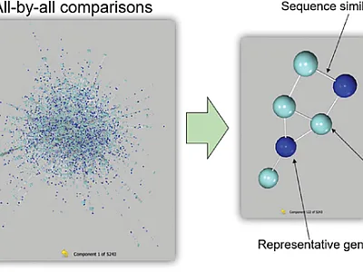 The occurrence of short sequence motifs, pinpointed from the re- sults of a GWAS, distinguished between white- and purple-flowered  soybean accessions. Figure reproduced with permission from the following article by Sundaramoorthy et al. published in the Journal of the Korean Society for Applied Biological Chemistry: https://doi. org/10.1007/s13765-015-0077-z.