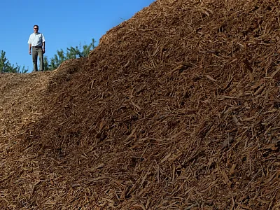 Brent Holtz, a farm adviser with the University of California’s Agriculture and Natural Resources division, has been a pioneer in whole orchard recycling research. Here he stands atop a pile of wood chips ground up from almond trees. The chips will be incorporated into the soil before a new orchard is planted. Photo courtesy of Brent Holtz.