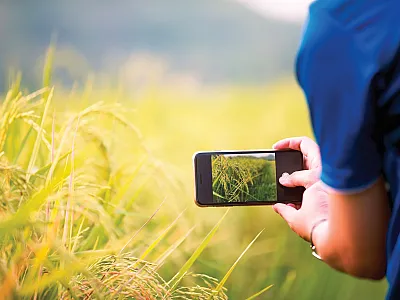 New cell phone apps specifically designed for farming using LLMs and computer vision platforms will be coming online soon. Photo courtesy of Adobe Stock/tuelekza.