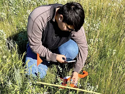 Turtle Mountain Community College student Fynn Pound, a Turtle Mountain Band of Chippewa Indians (TMBCI) citizen, identifying grassland plants. A survey showed TMBCI citizens between 18 and 36 years of age correctly identified fewer plants than other age groups. Photo by Stacie Blue.