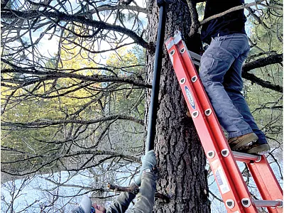 Washington State University students install a hidden camera in a great horned owl nest. Photo by WSU Virtual Ecology.