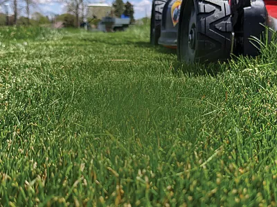Opposite page: A lawnmower making its way through healthy turfgrass. Raising blade height encourages root growth, reduces irrigation requirements, and lowers greenhouse gas emissions. Photo by Ross Braun.