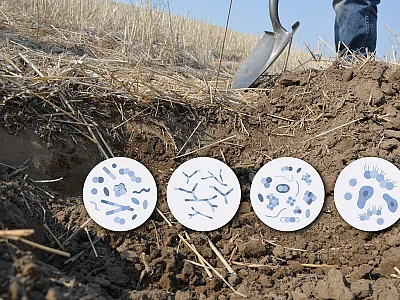 Fostering microbial diversity