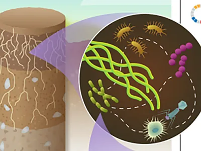 Illustration adapted from the Pacific Northwest National Laboratory.