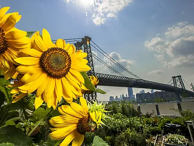 USDA Photo by Preston Keres.