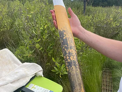 Indicator of Reduction in Soils (IRIS) film immediately after retrieval following 60-minute deployment in a tidal marsh soil. On the green table is a portable document scanner for collecting the IRIS image. Photo courtesy of Jocelyn Wardrup, UMD ENST.