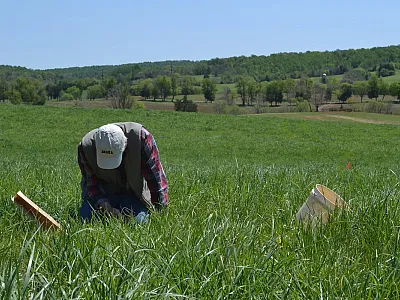 Sampling surface residue in a Virginia grassland. Photo by Alan Franzluebbers, USDA-ARS.