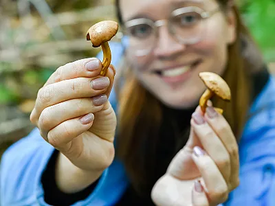 Photo courtesy of Adobe Stock/ dsbedarieva.