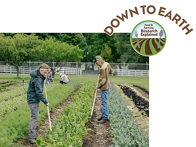 Photo courtesy of Flickr/Arkansas Agricultural Experiment Station (license: https://creativecommons.org/licenses/by/2.0/deed.en).