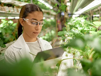 Photo courtesy of Adobe Stock/Seventyfour.