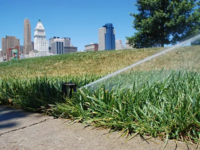 Water use in turfgrass. 