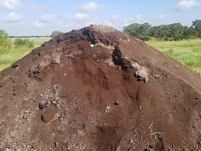 Composting spent coffee grounds that were used in the 70-day incubation. Photo by Amanda Birnbaum.