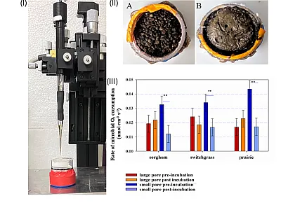 (I) A micro-profiling system with an O2 microsensor; (II) A: large pore soil material, B: small pore soil material; and (III) calculated rates of volumetric O2 by microbes before and after 38 days incubation. Image by Poulamee Chakraborty, GLBRC, Michigan State University.