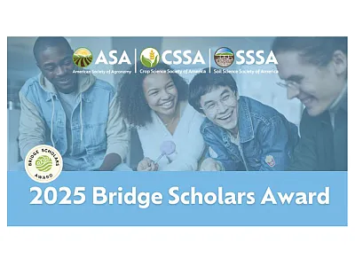 Bridge Scholars Award