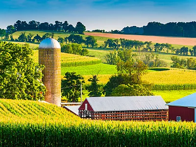 Photo courtesy of Adobe Stock/jonbilous.