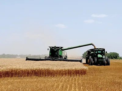 Wheat harvest in Kansas, the leading wheat producer in the United States. Photo by K-State Research and Extension (https://www.flickr.com/photos/ksrecomm/) and reprinted here under this license: https://creativecommons.org/licenses/by/2.0/.