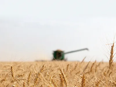 Photo by Louise Sorensen.