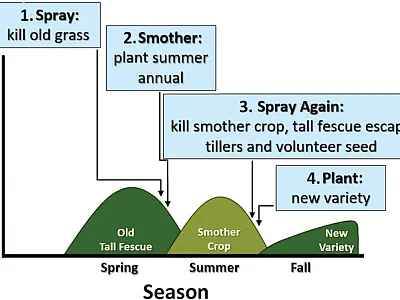 Figure 1. The spray–smother–spray method of replacing toxic tall fescue in a pasture with another cool-season grass.