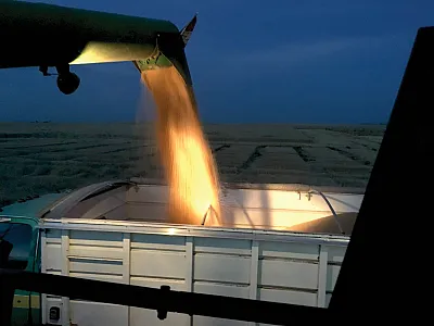 Winter wheat harvest across the Pacific Northwest is often referred to as the “end of the season” with farmers calculating yields and assessing quality grades. It is important to assure you have representative samples for grain protein or make sure your local co-op will provide this data on your grade sheets.