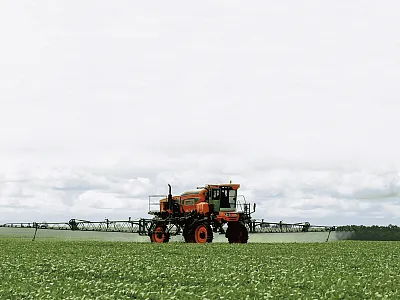 Photo courtesy of Adobe Stock/zequinao.