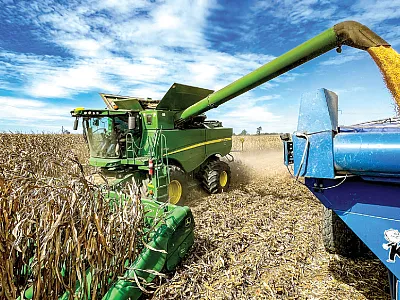 Photo by Robbin Campbell.