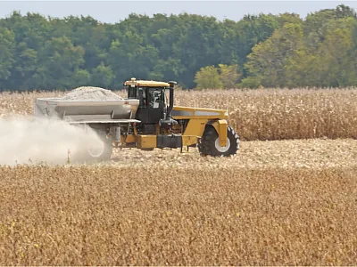 Photo courtesy of Adobe Stock/chas53.