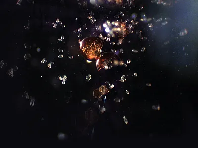 Microscope image of potato  cyst nematode eggs spilling out of a rup- tured cyst. Photo by Potato Cyst Nematode  Research Group/ARS/APHIS.