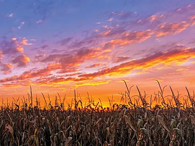 Photo courtesy of AdobeStock/Kenneth Keifer.