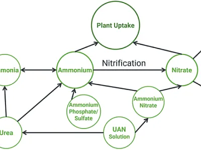 Figure 1. Fertilizer fates. Adapted from Alan Blaylock, Nutrien eKonomics.