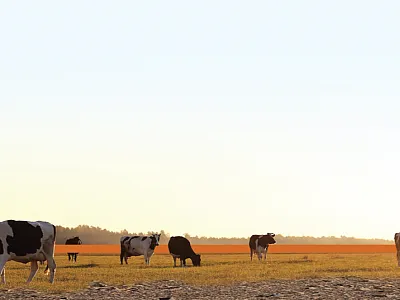 Manure, Environmental Impact, and Soil Health: Technologies, Application, and Benefits