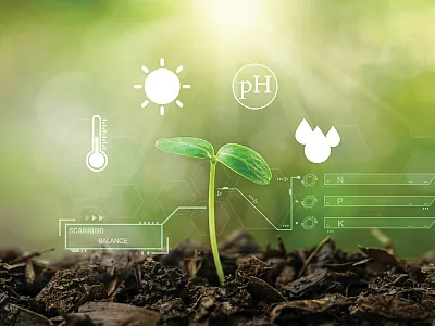 Photo courtesy of Adobe Stock/surasak.