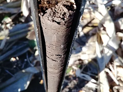 Photo courtesy of Udayakumar Sekaran.