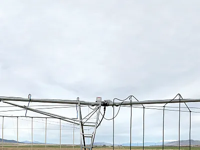 The low-elevation precision application (LEPA) sprinklers on the right were compared with mobile drip irrigation (MDI) on the left during a silage corn trial near Elberta, UT. Photo by Matt Yost.