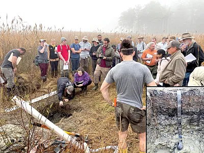 Figure 1. Examining the exposed soil profile of a submerged upland marsh at the Chesa- peake Environmental Center on the opening foggy morning of the tour. Photos by Lorene  Lynn and Grace Bodine.