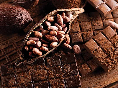 Photo courtesy of Adobe Stock/Sebastian Duda.