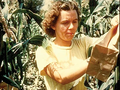 Rosalind Morris working in the field. Photo courtesy of Marla McIntosh.